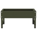 VidaXL Karmnik dla ptaków Zielony oliwkowy 80 x 28 x 13.5 cm