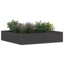 VidaXL Krawężnik do trawnika 6 pcs Czarny 60 x 60 x 13 cm Stal