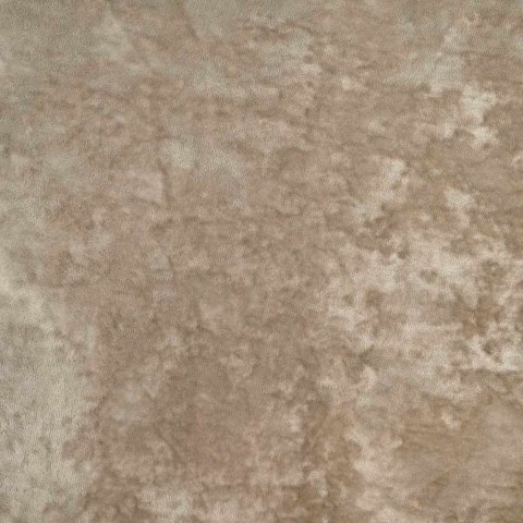 VidaXL Zasłony z weluru 2 pcs szampański 140 x 140 cm Aksamit