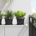 VidaXL Doniczki 24 pcs Czarny 23 x 23 x 17,5 cm Z tworzywa sztucznego