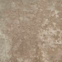 VidaXL Zasłony z weluru 2 pcs szampański 245 x 140 cm Aksamit