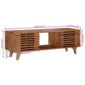 VidaXL Szafka pod telewizor z drzwiami Naturalny 105 x 30 x 35 cm