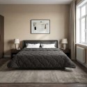 VidaXL Letni Kołdra Antracyt 220 x 240 cm Mikrofibra i Fleece Teddy