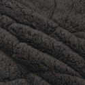 VidaXL Letni Kołdra Antracyt 220 x 240 cm Mikrofibra i Fleece Teddy