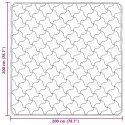 VidaXL Letni Kołdra Jasnoszary 200 x 200 cm Mikrofibra i Fleece Teddy
