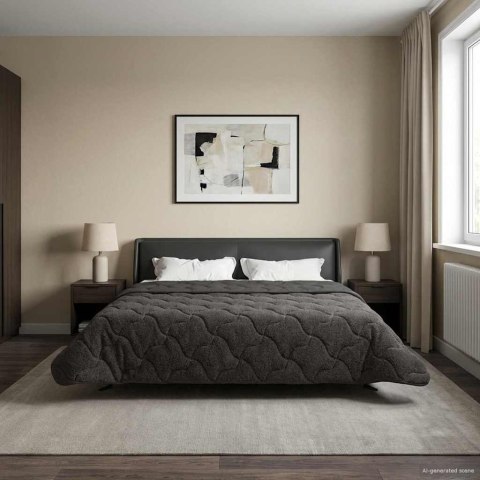 VidaXL Zimowa Kołdra Antracyt 200 x 200 cm Mikrofibra i Fleece Teddy