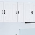 VidaXL Front do zmywarki Kalmar 2 pcs Biały 30 x 31 x 80 cm