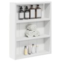 VidaXL Szafka ścienna łazienkowa z półką Biały 40 x 10 x 50 cm