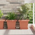 VidaXL Doniczki 6 pcs Czerwony ceglasty 33 x 33 x 26 cm