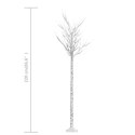 VidaXL Wierzba z oświetleniem, 220 ciepłych białych LED, 2,2 m