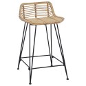 VidaXL Stołek barowy 2 pcs naturalny 44 x 45 x 76 cm Rattan i Stal