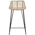 VidaXL Stołek barowy 2 pcs naturalny 44 x 45 x 76 cm Rattan i Stal