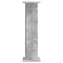 VidaXL Stojak na rośliny 2 pcs Betonowy szary 30,5 x 30 x 100,5 cm